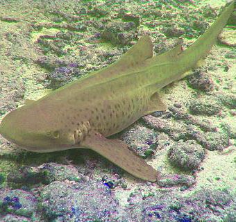 %e0%b8%89%e0%b8%a5%e0%b8%b2%e0%b8%a1%e0%b9%80%e0%b8%aa%e0%b8%b7%e0%b8 ...